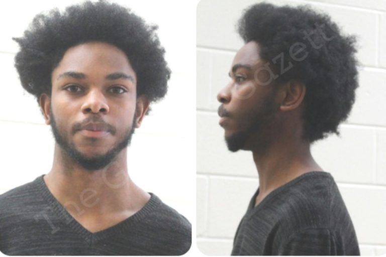 Houston County Crime - Devon Ridley https://thegeorgiagazette.com ...