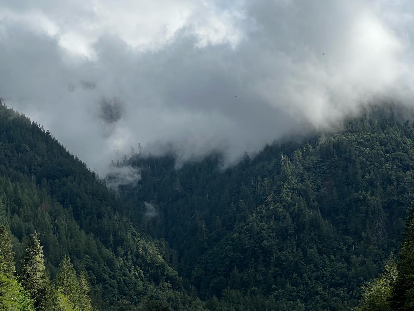 Cascadia Rafting | Marblemount WA