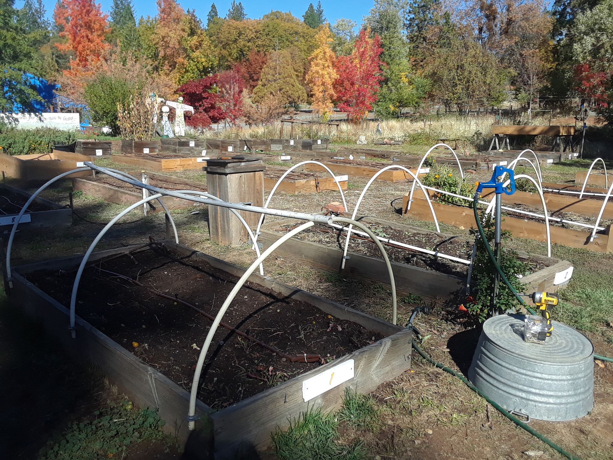 West Point Community Garden | West Point CA