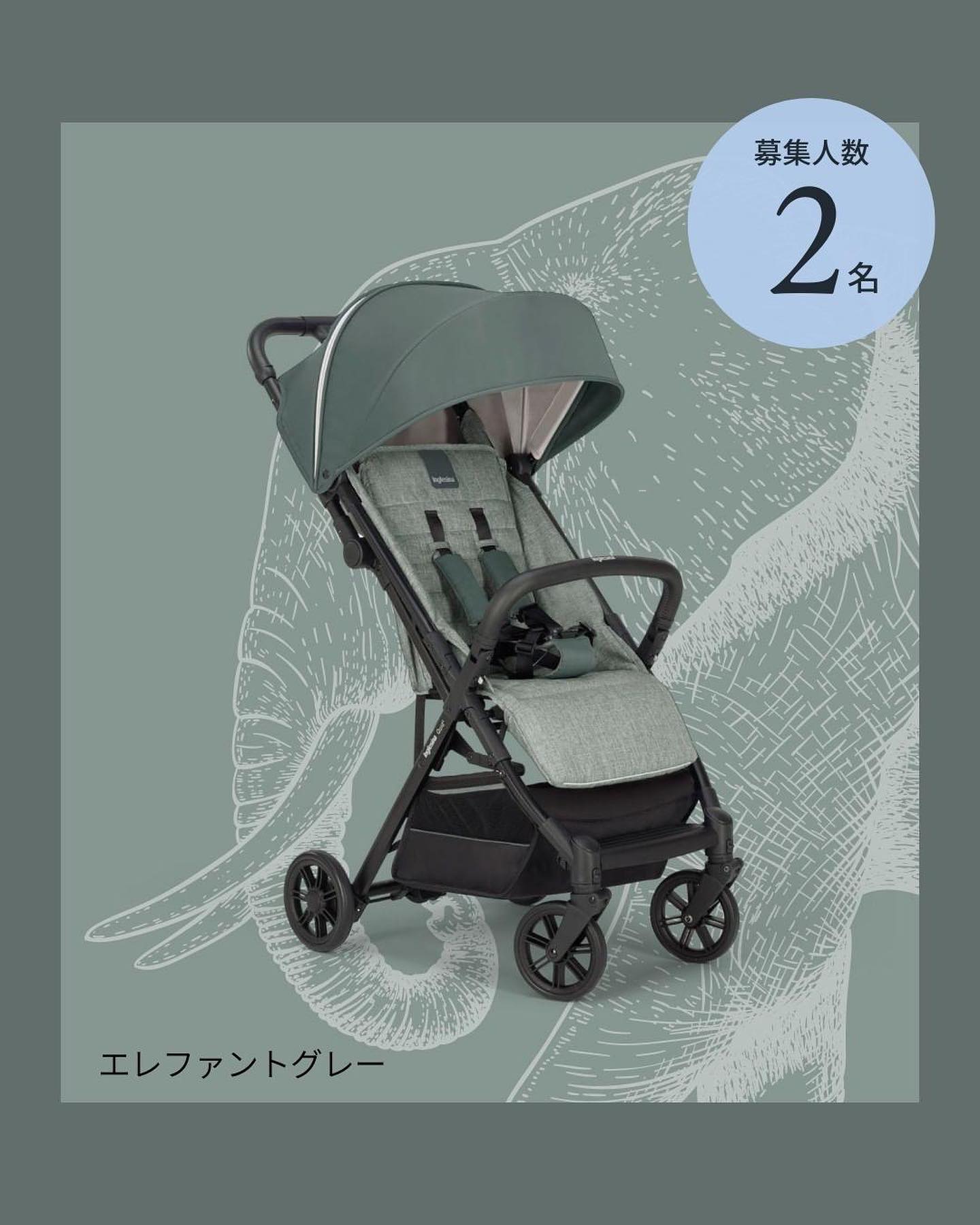 美品】イングリッシーナ クイッド ストーミーグレー くわ