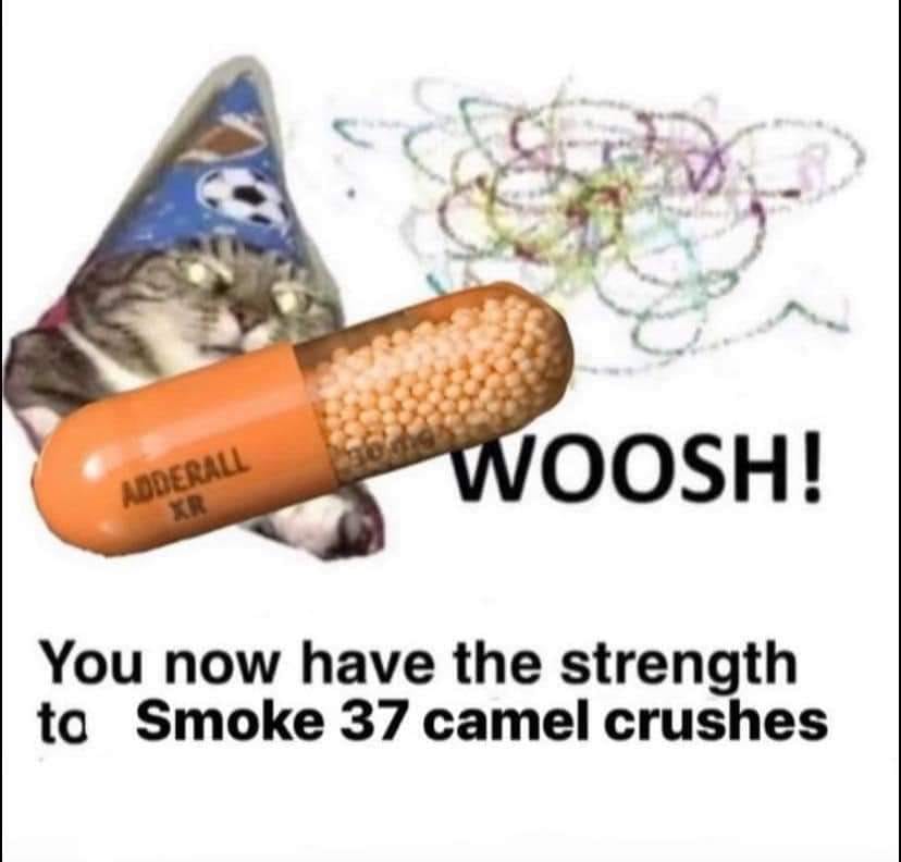 Pls No Stealy my Memey added a... - Pls No Stealy my Memey