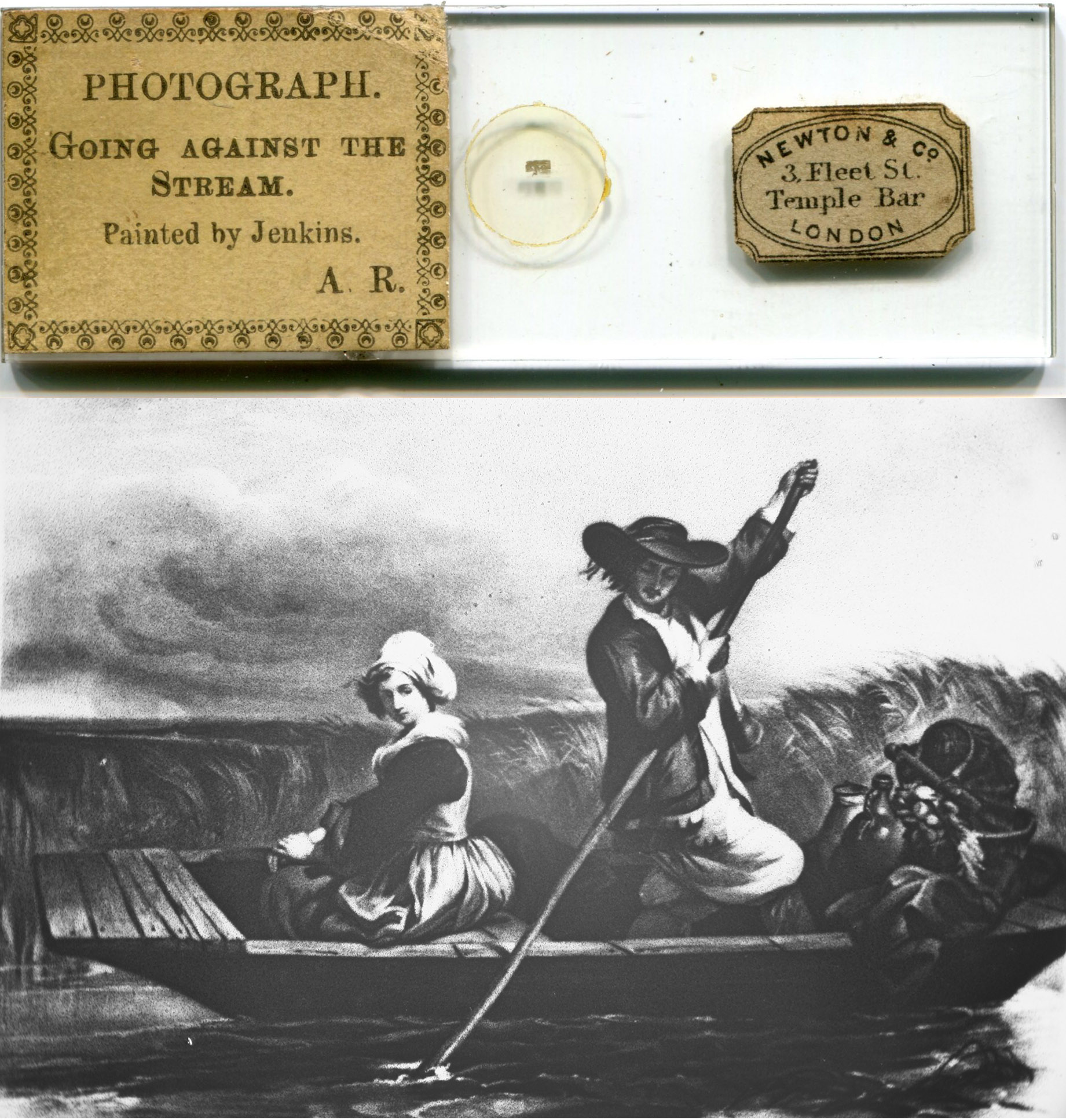 ca. 1860 microphotographs by... - History of Microscopy | Facebook
