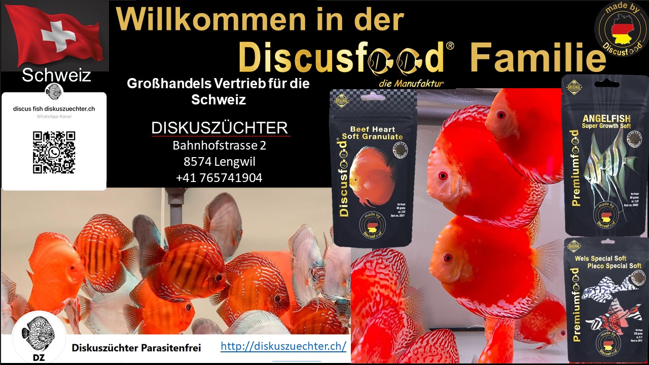 Udo - Discusfood now has a new partner in Switzerland! We are delighted ...