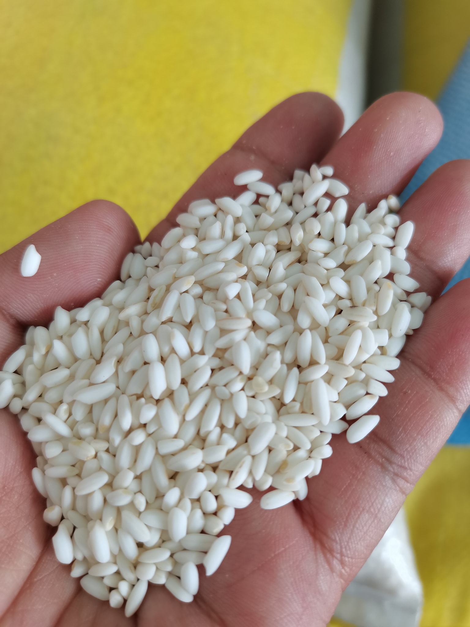 Rice Wholesaler - Mindoro Rice | Bansud