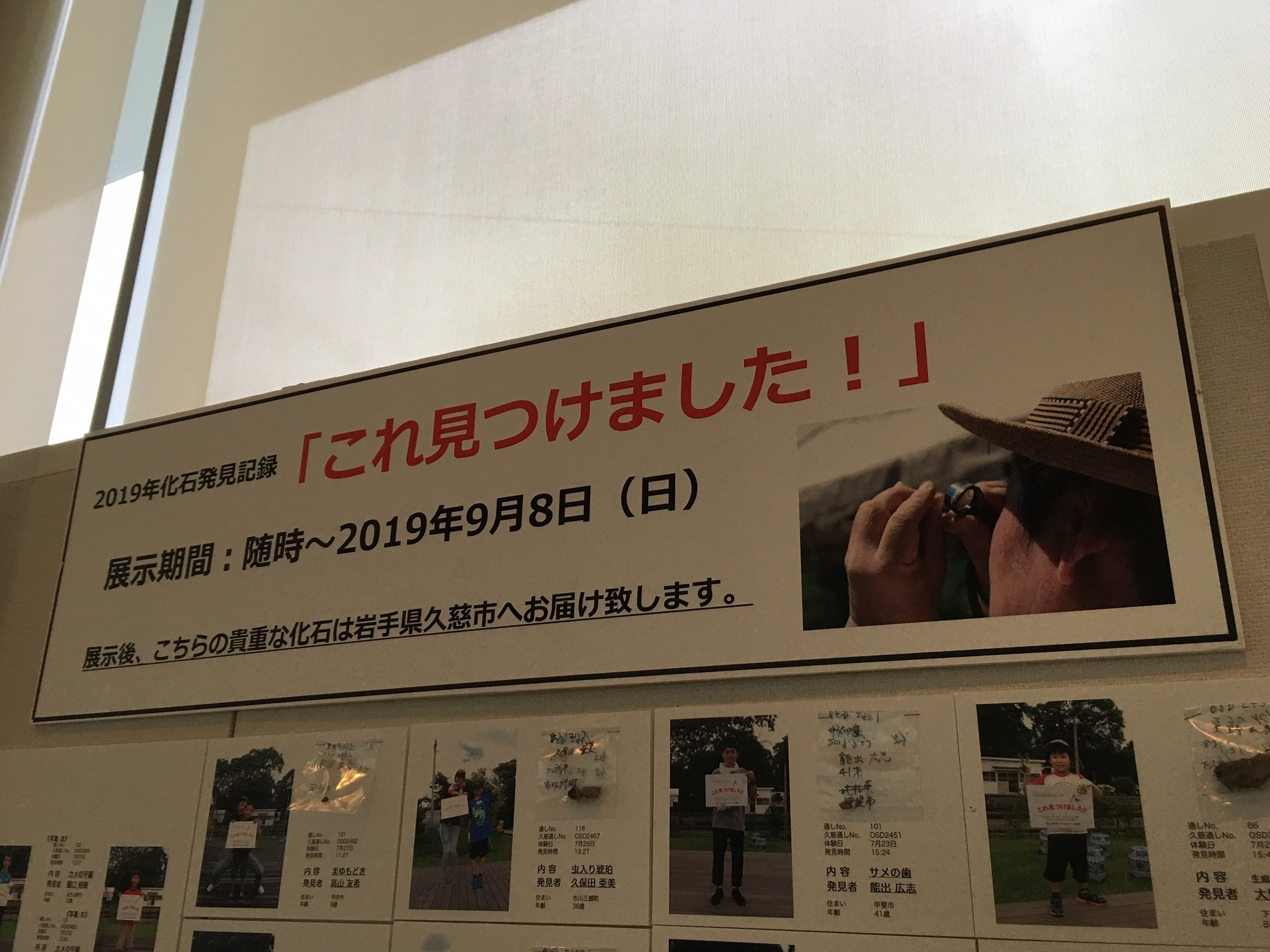 平山郁夫シルクロード美術館 プレミア化石の展示を開始 Facebook