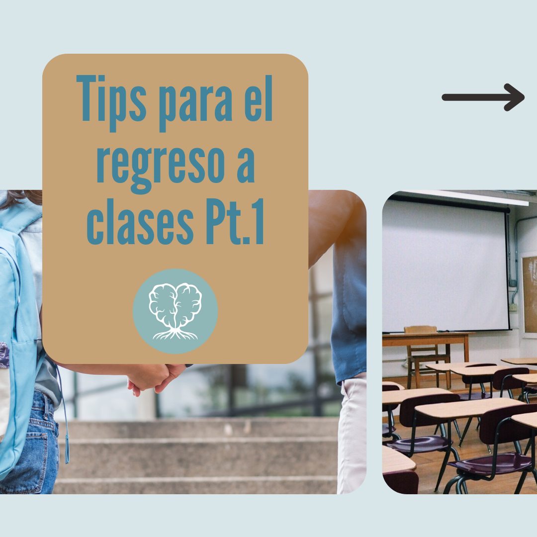 El regreso a clases puede ser... - Raíces de Bienestar