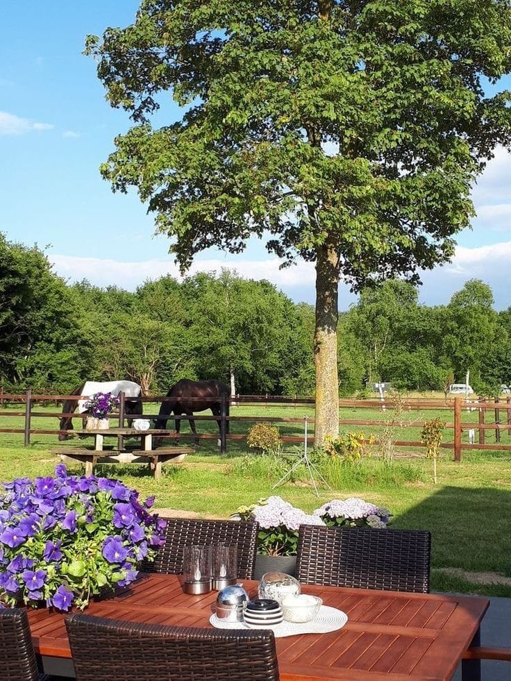 Amazing Farm