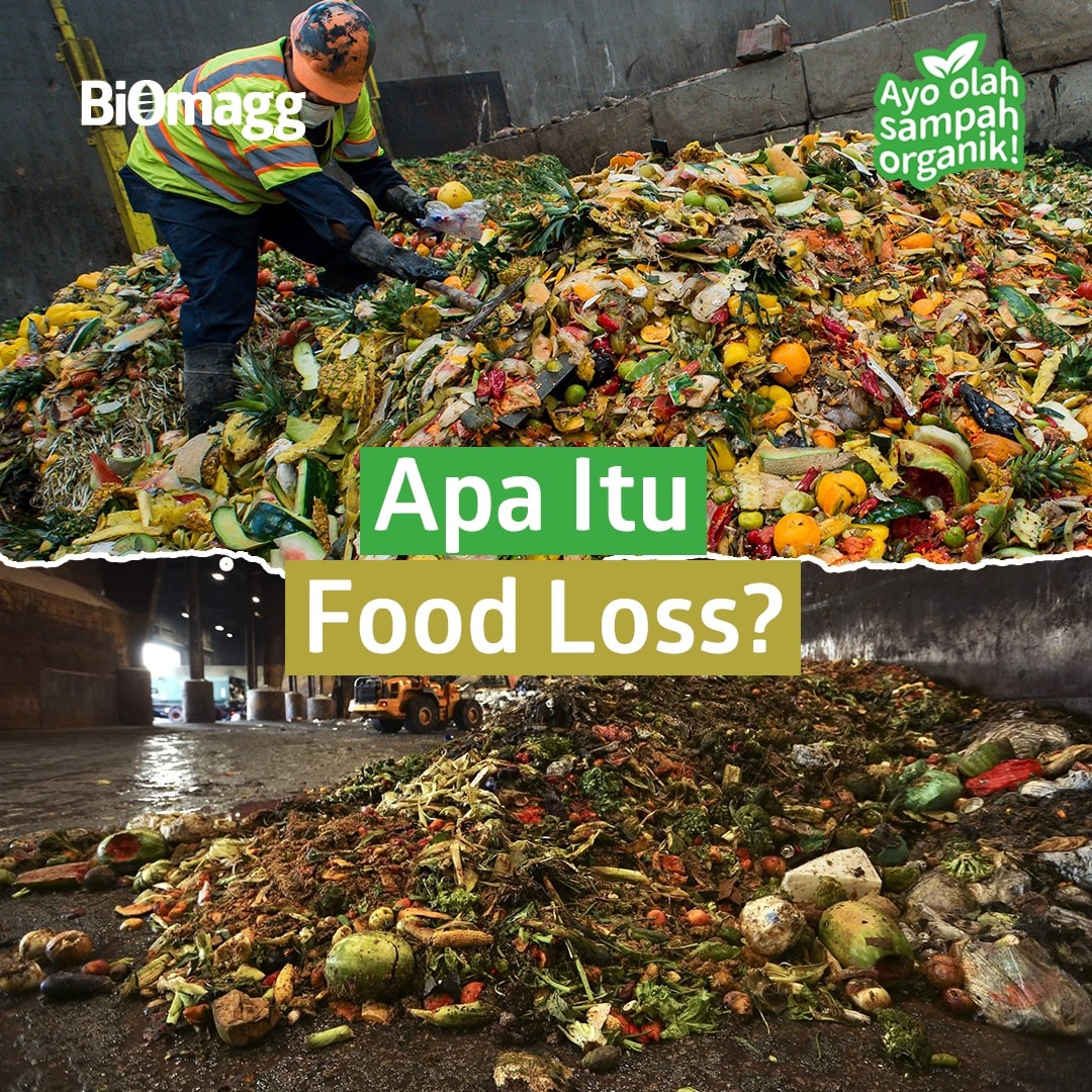 Biomagg - Apa itu Food Loss? Dilansir dari zerowaste.id,...