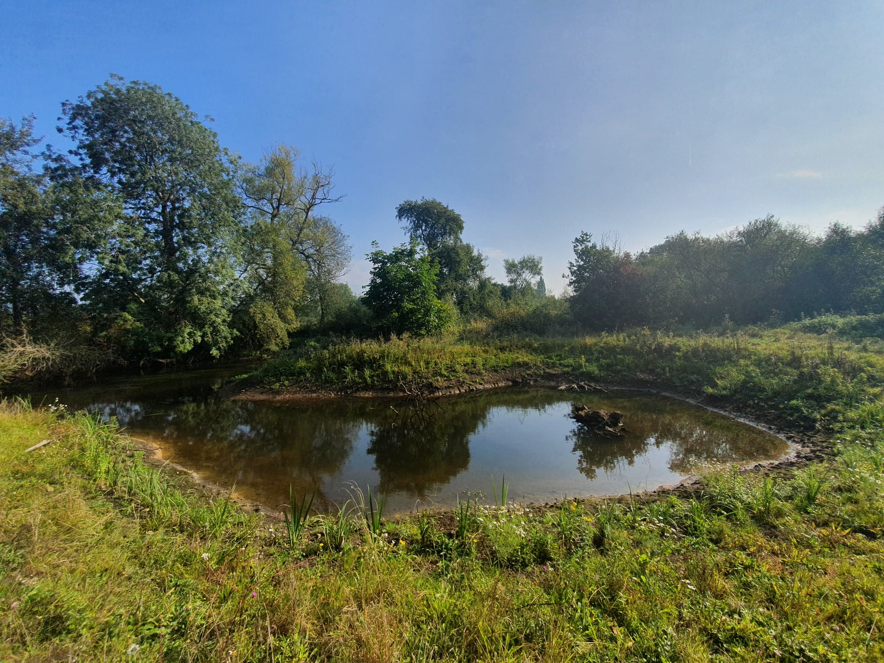 Read our latest blog to find out... - South East Rivers Trust | Facebook