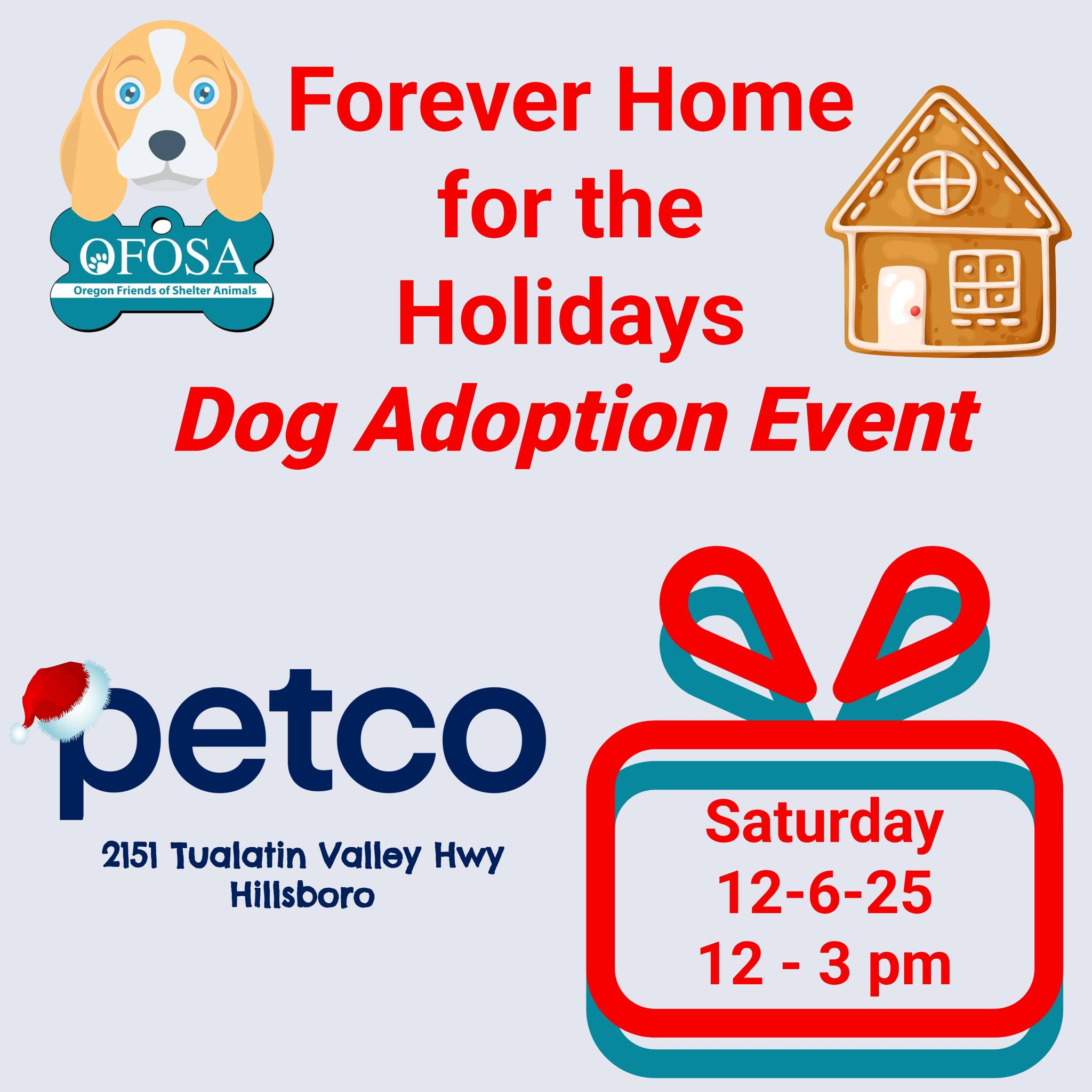 Forever Home for the Holidays Dog Adoption Event