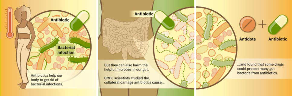 Tackling the Collateral Damage... - Microviable Therapeutics