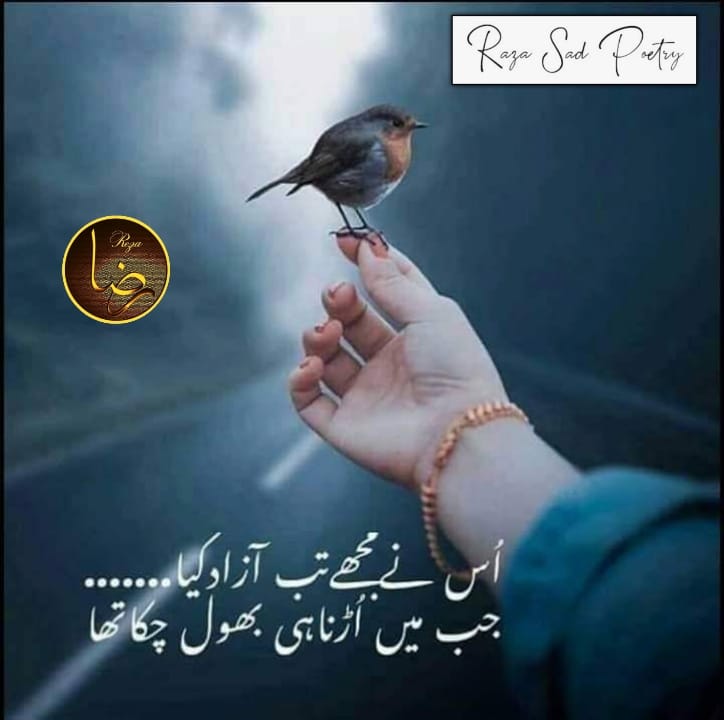 Raza Sad Poetry - #sadpoetry #pakistan #sadquotes #love...