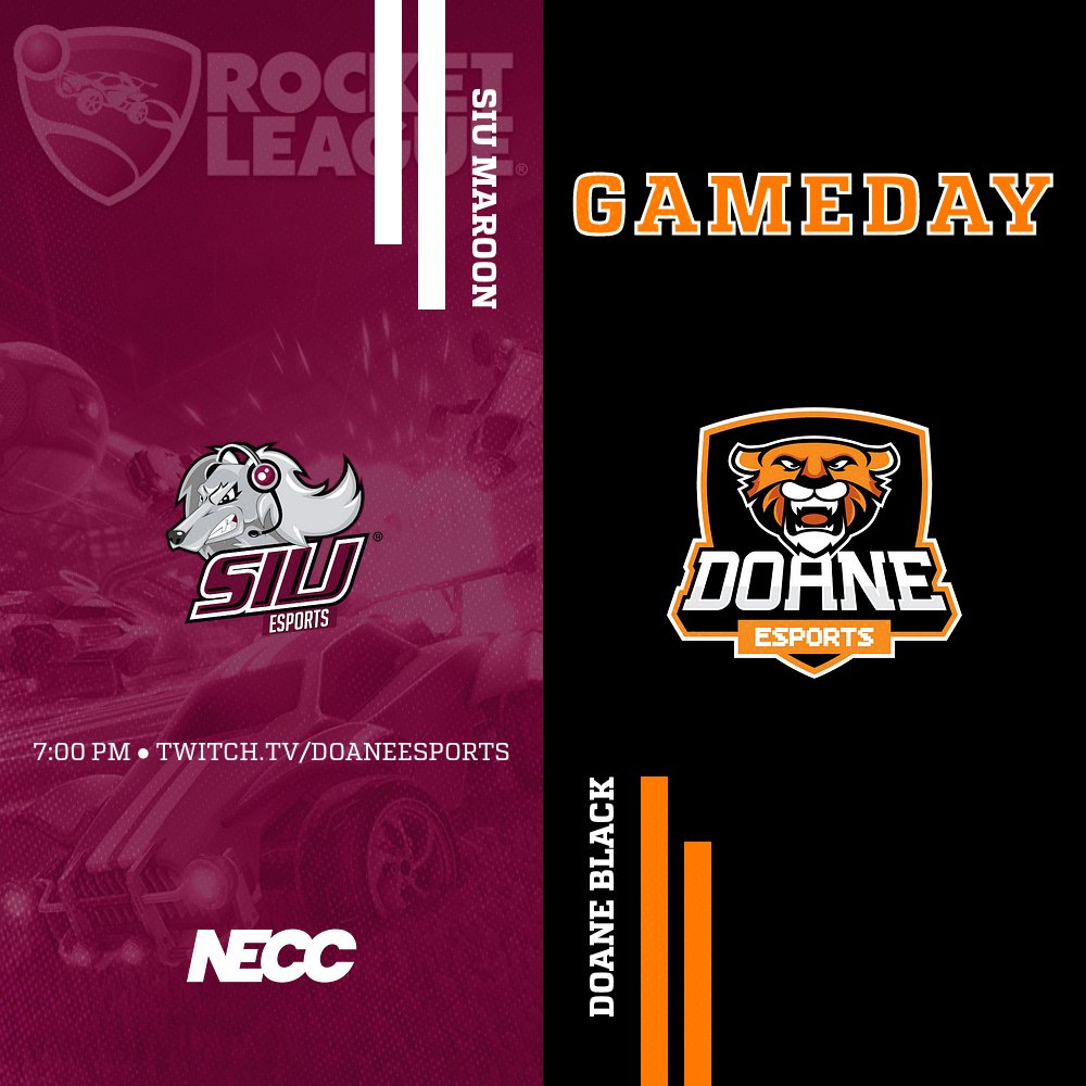 Doane Esports