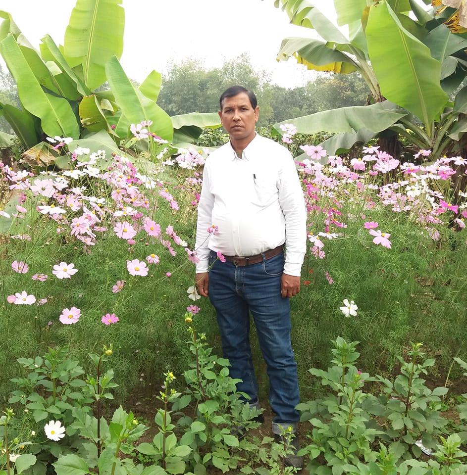 Sariful Islam