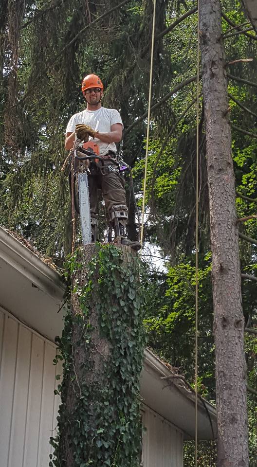 Tree Keeper's