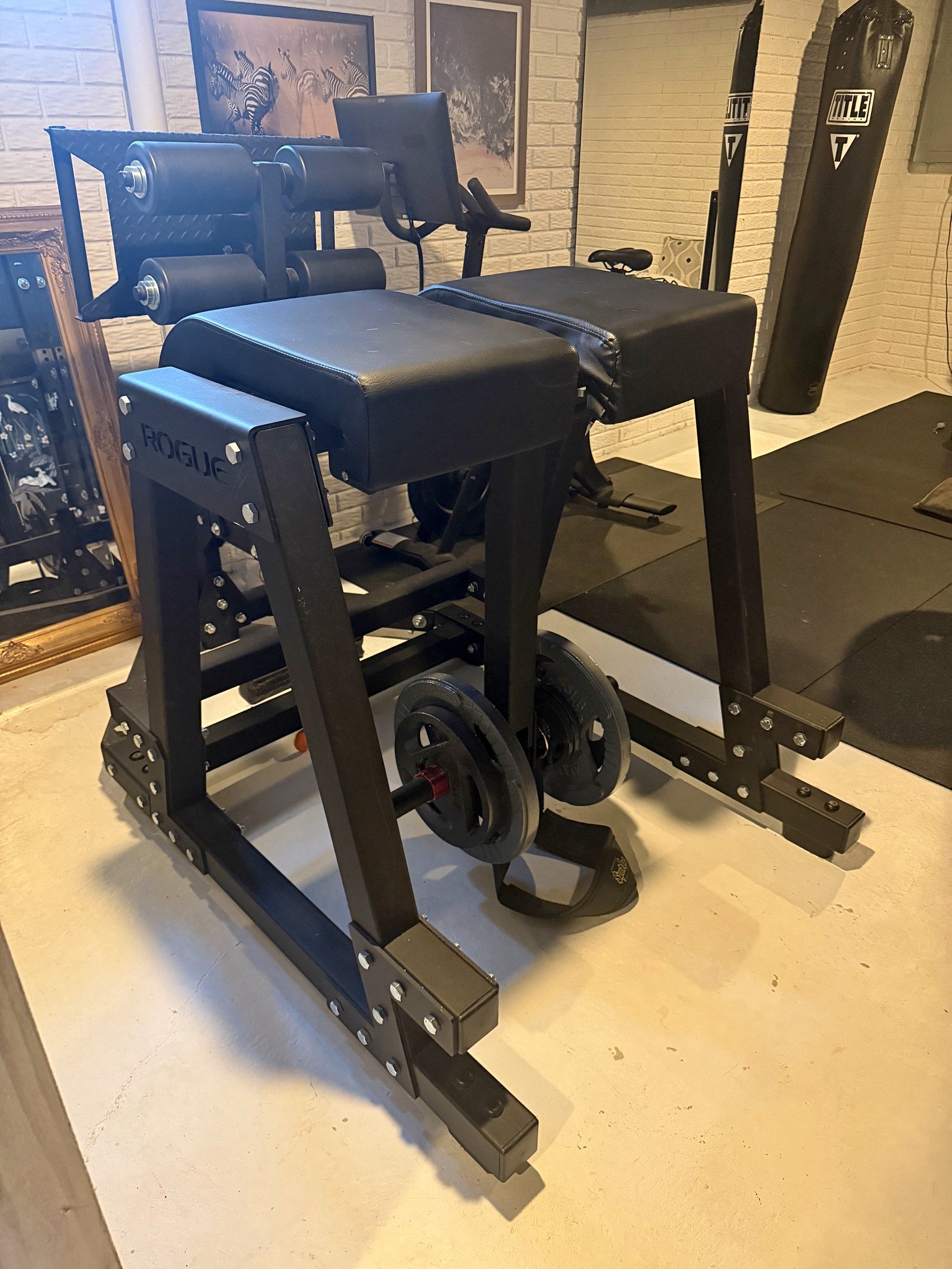 Rogue Fitness 