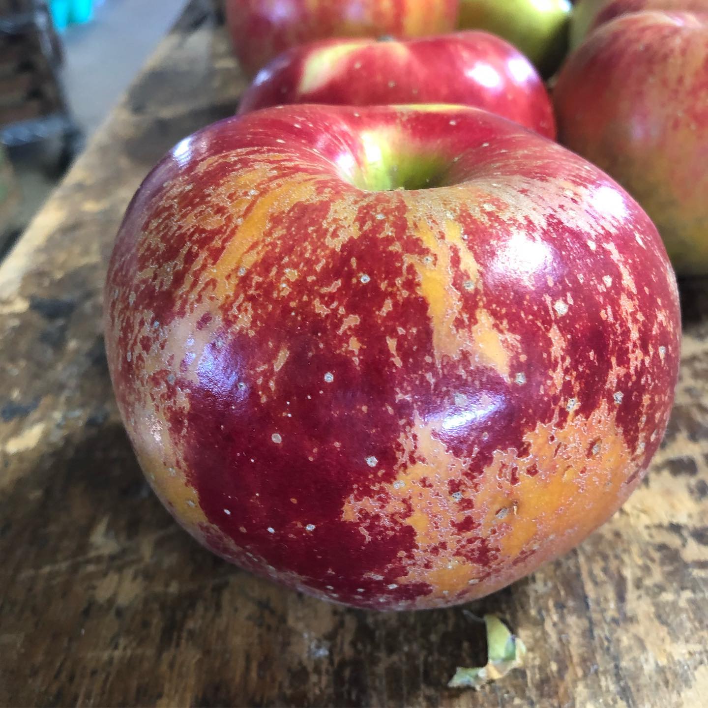 Are you familiar with the state apple of Ohio, Melrose? Melrose is