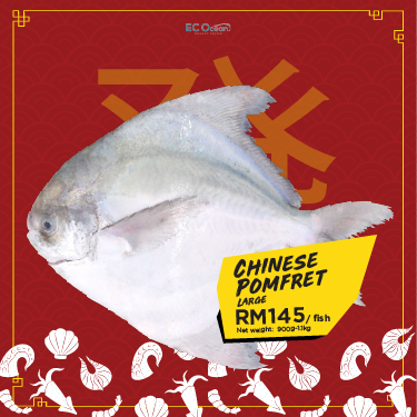 EC Ocean Frozen Seafood