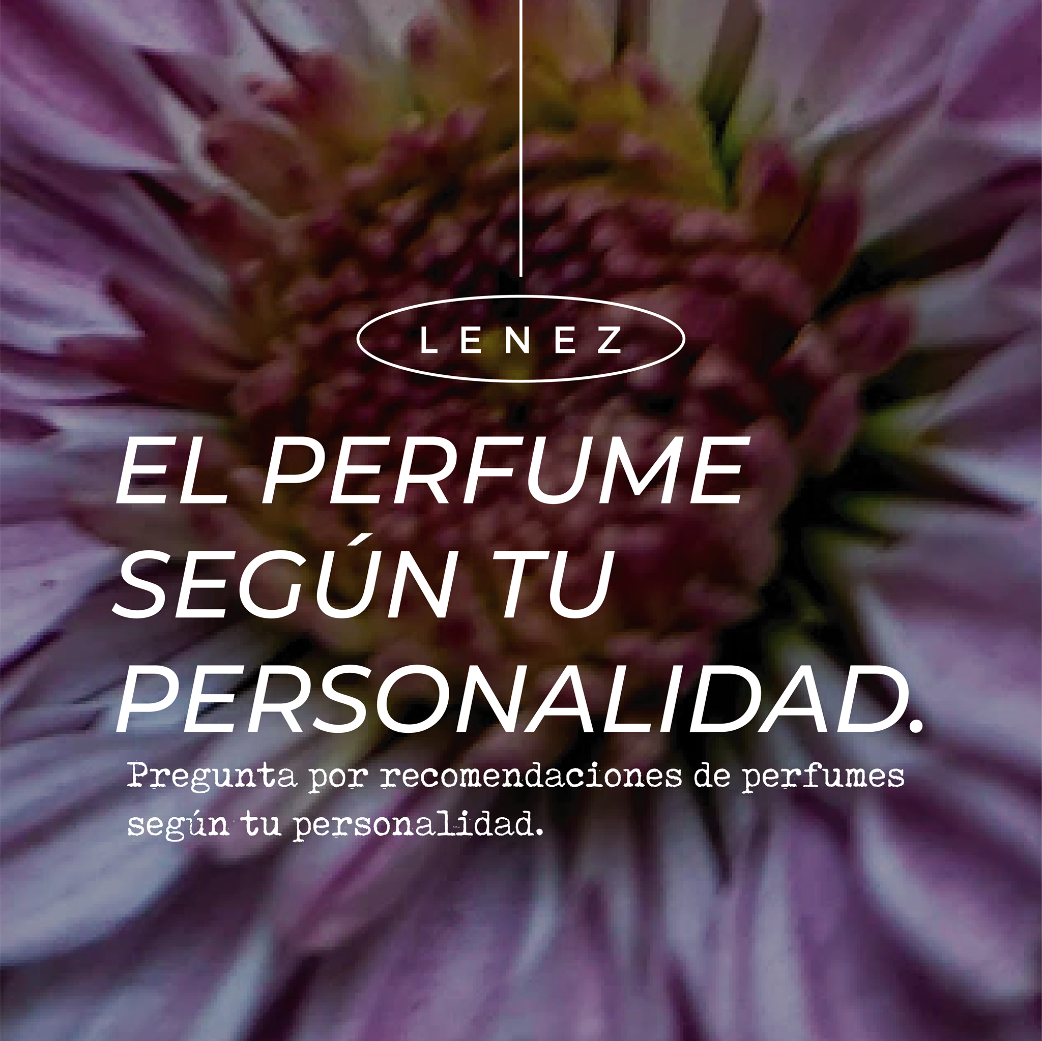 Lenez Mexico - Los aromas tienen mucho que ver con la...