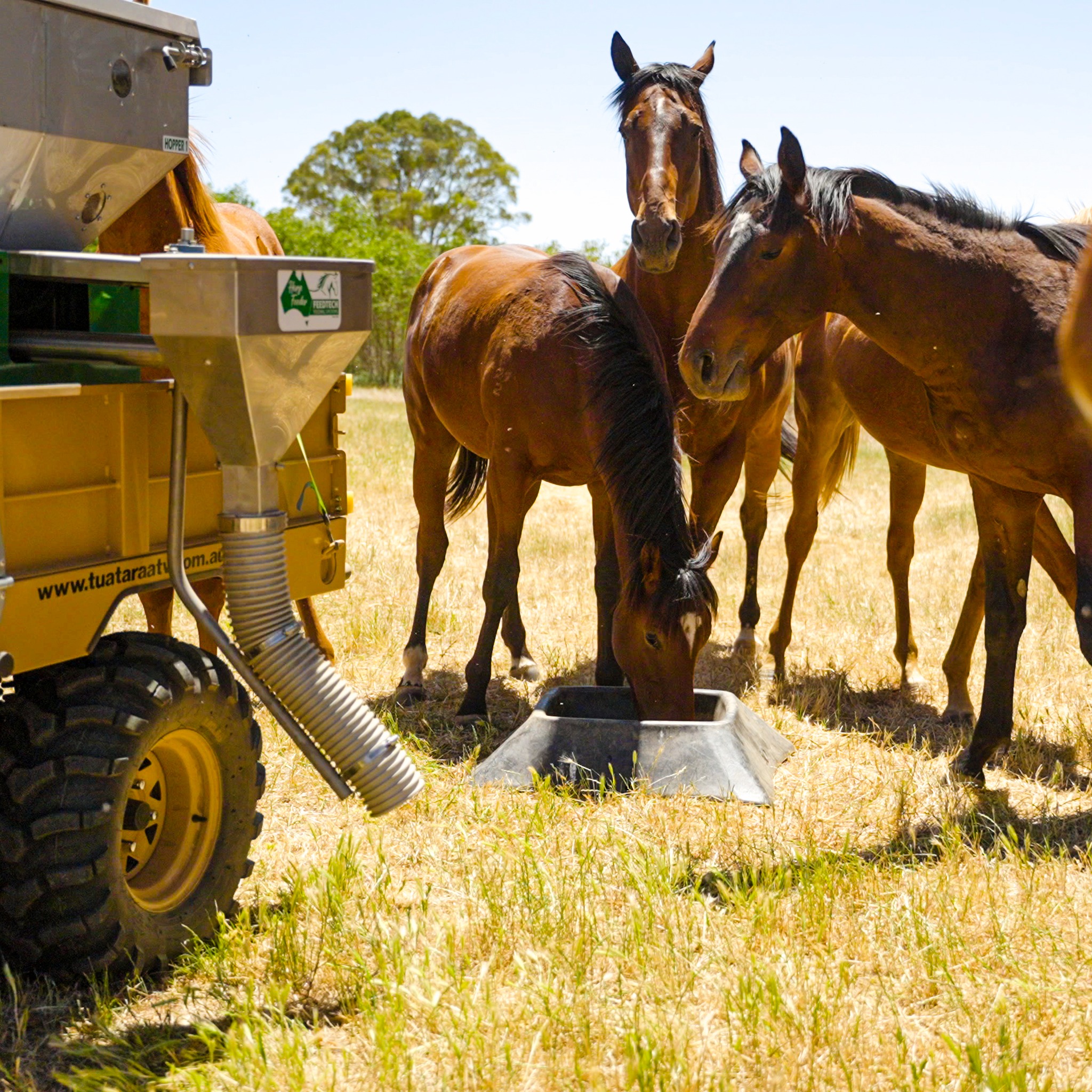 Feedtech Horse Feeders | Tatura VIC