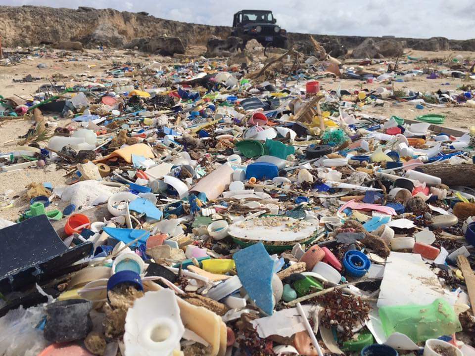 LBAM - What are YOU doing to reduce Plastic Pollution?