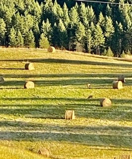 The Getaway Ranch