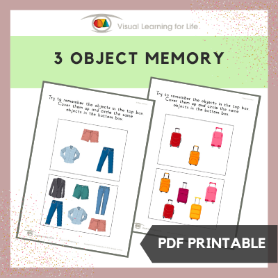// VISUAL MEMORY // Visual... - Visual Learning for Life