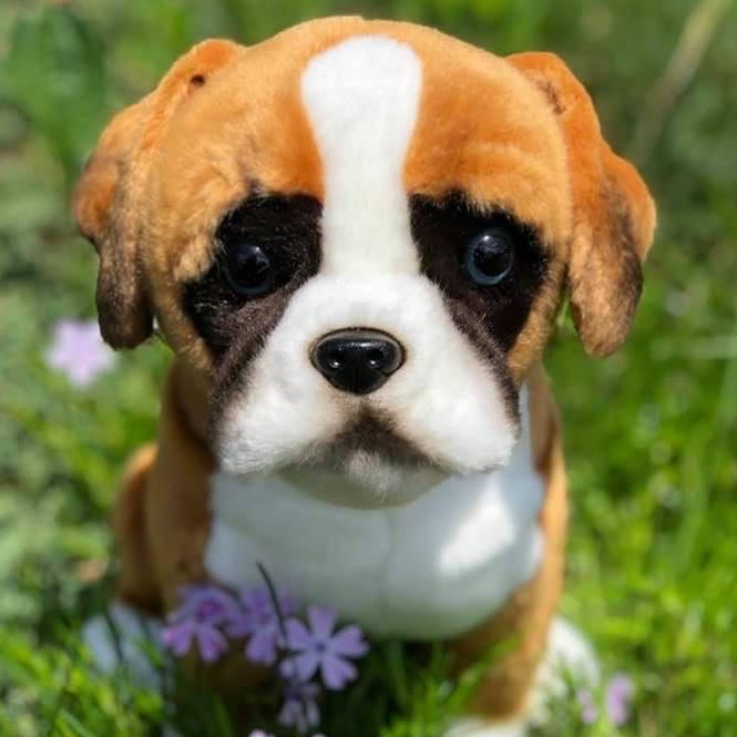 Maxwell - Tan Boxer with... - Auswella Plush Stuffed Animals