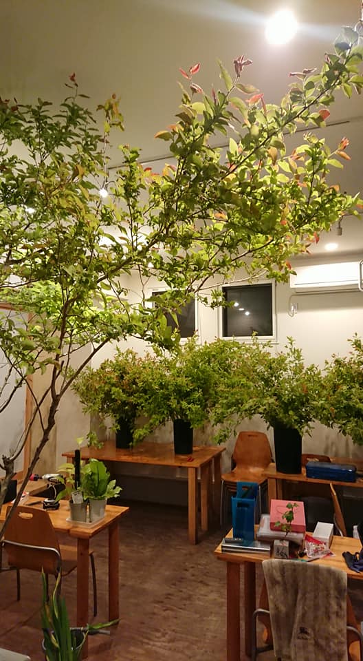 ボケの一種生け 花器は御玄猪という池坊専用の銅製薄端花器です。専明
