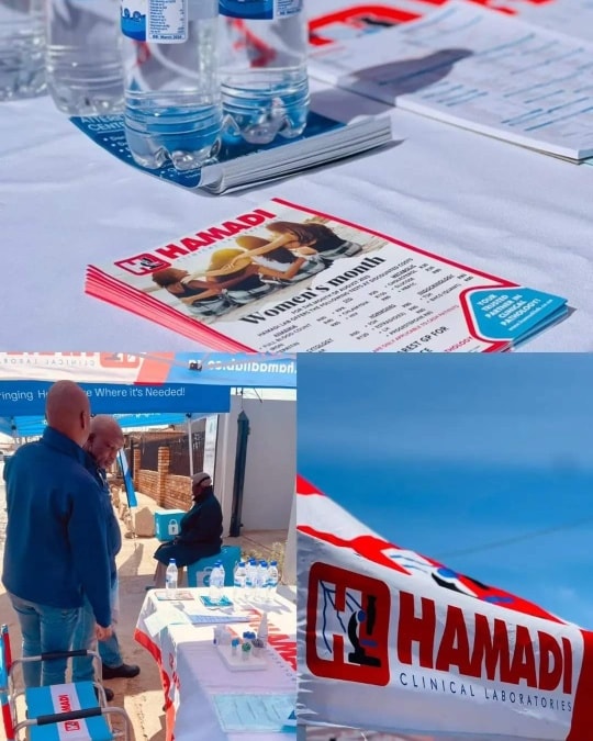 HamadiLab | Randburg