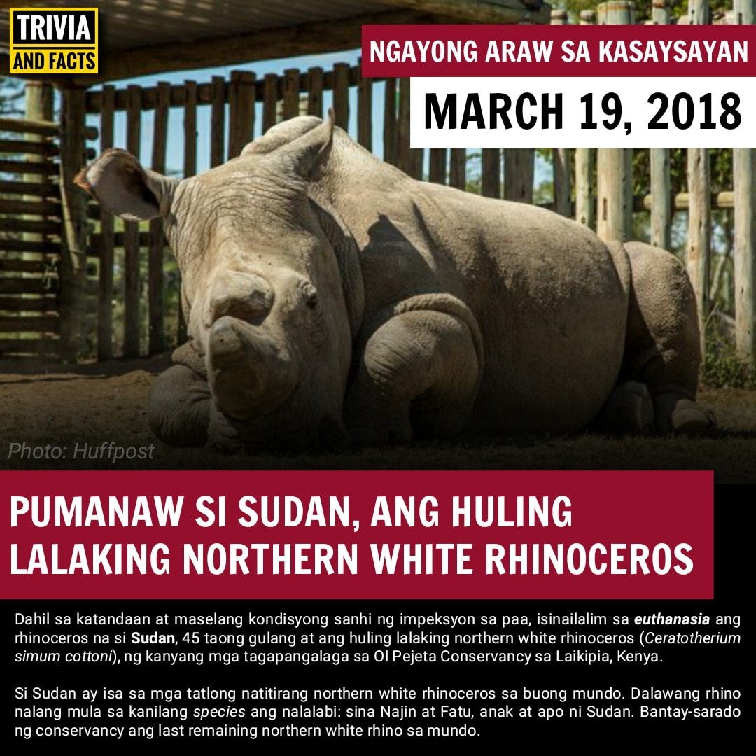 Trivia and Facts Philippines - #NgayongArawSaKasaysayan Taong 1975 nang ...