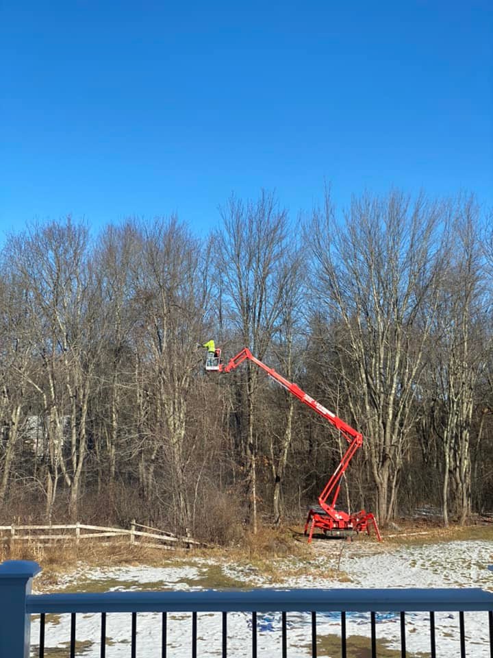 AMG Tree & Landscaping | Andover MA