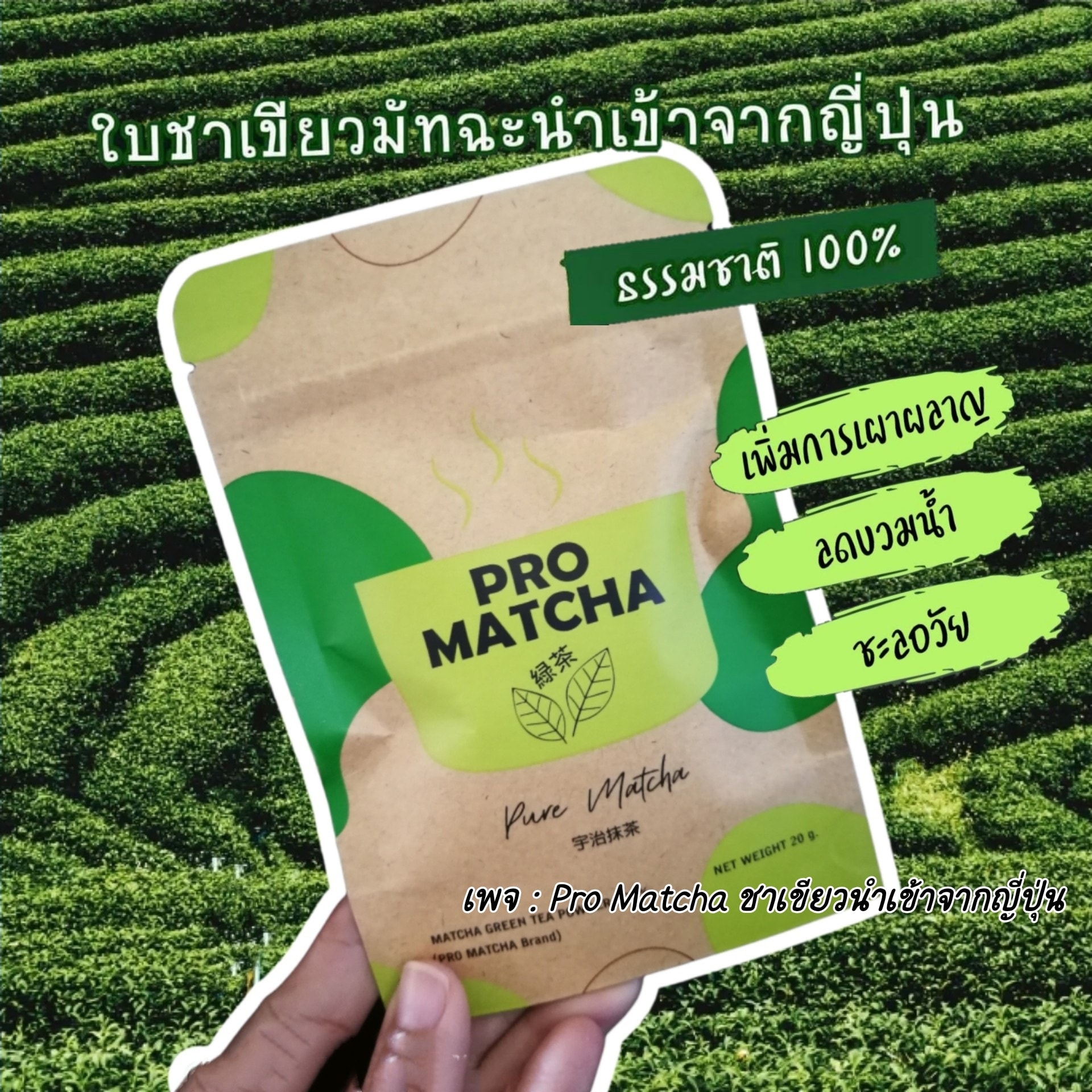 โปรมัทฉะ... - Pro Matcha ชาเขียวนำเข้าจากญี่ปุ่น | Facebook