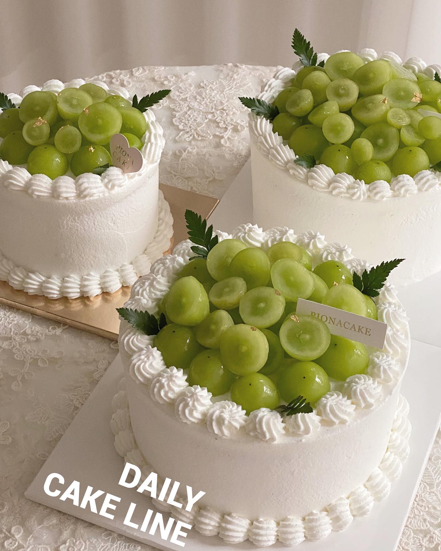 Daily Cake Line 특별한 기념일이 아니라도 케이크만... - 피어나케이크 -Pionacake