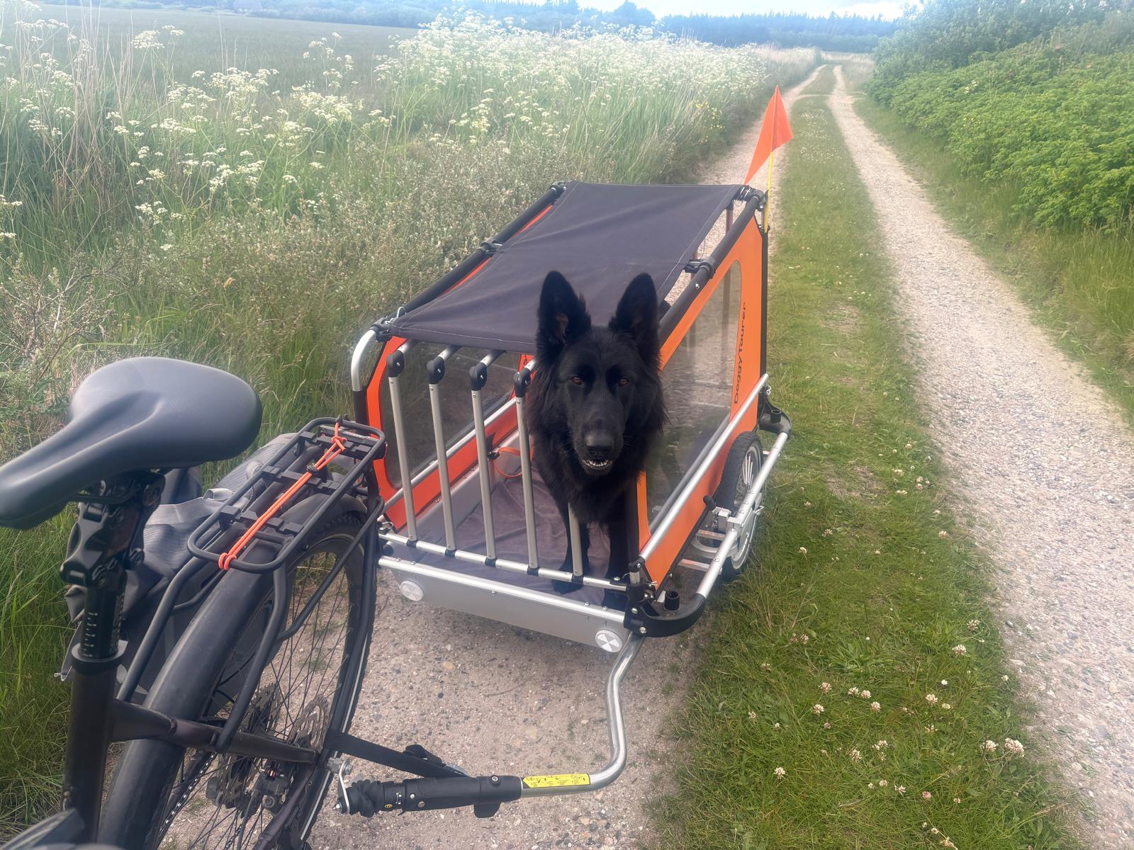 e bike kalkhoff trekking Endeavour 5.B Move+ E-Bikes gebraucht Farbe:RAL Nummer Leitz Aufbewahrungsbox MyBox® 31,8 Muskatkürbis im Ofen