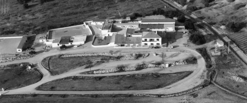 did-you-know-nobel-algarve-british-international-school