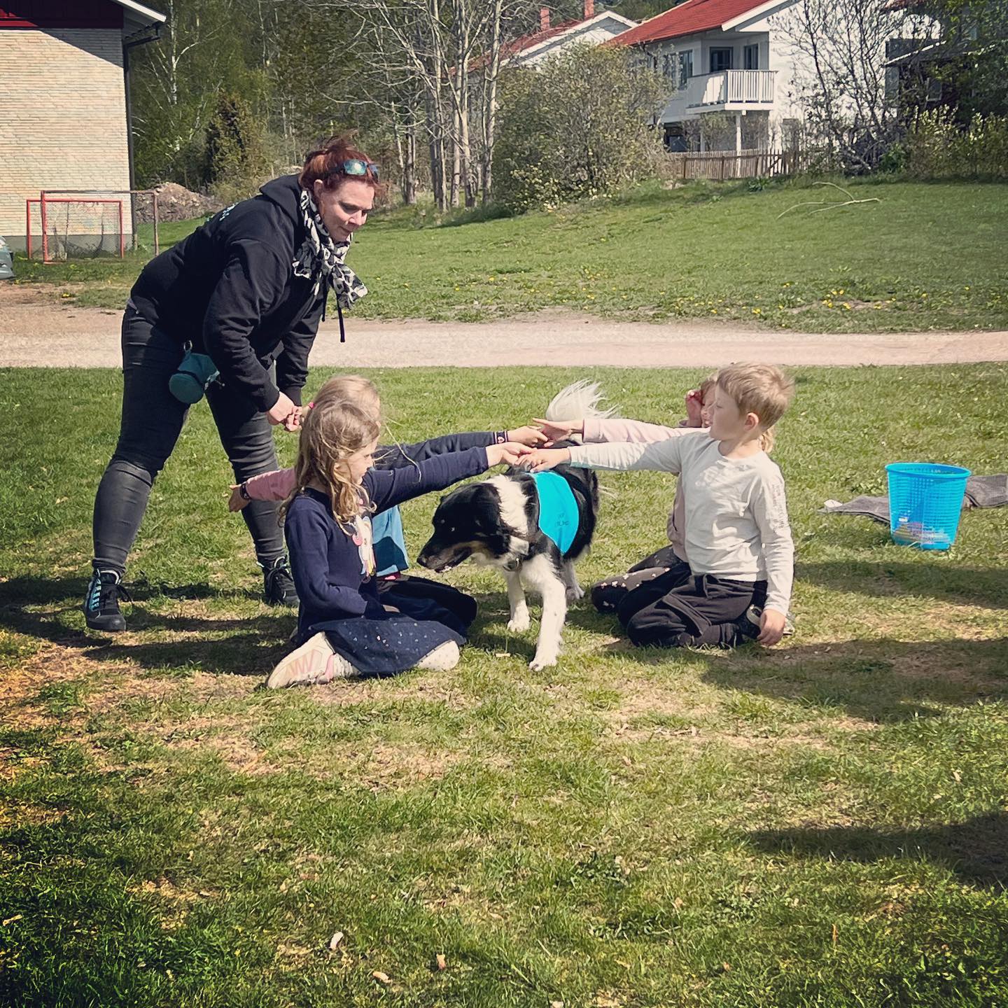 Svenska Terapihundskolan added... - Svenska Terapihundskolan