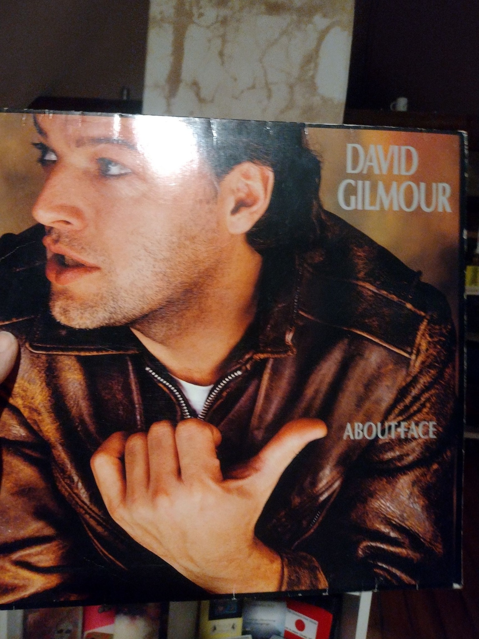 Which of David Gilmour's solo albums is the best?