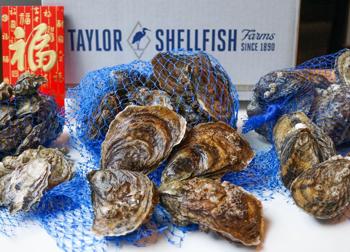 Somos una de las pocas granjas... - Taylor Shellfish ya en MX | Facebook