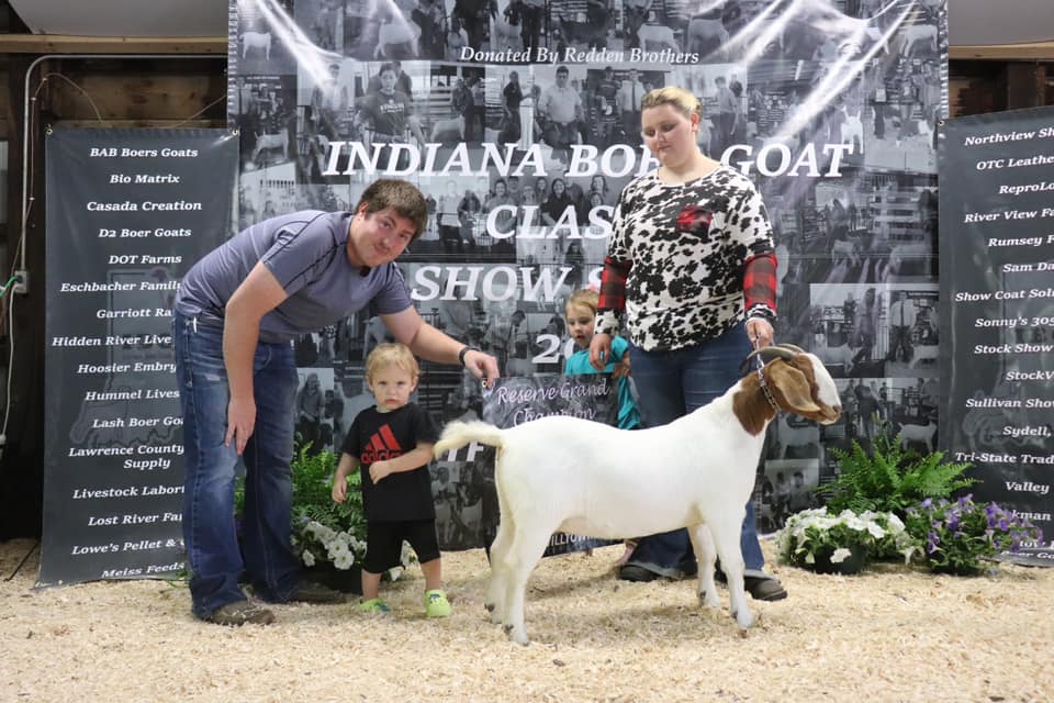 Indiana Boer Goat... - Indiana Boer Goat Association