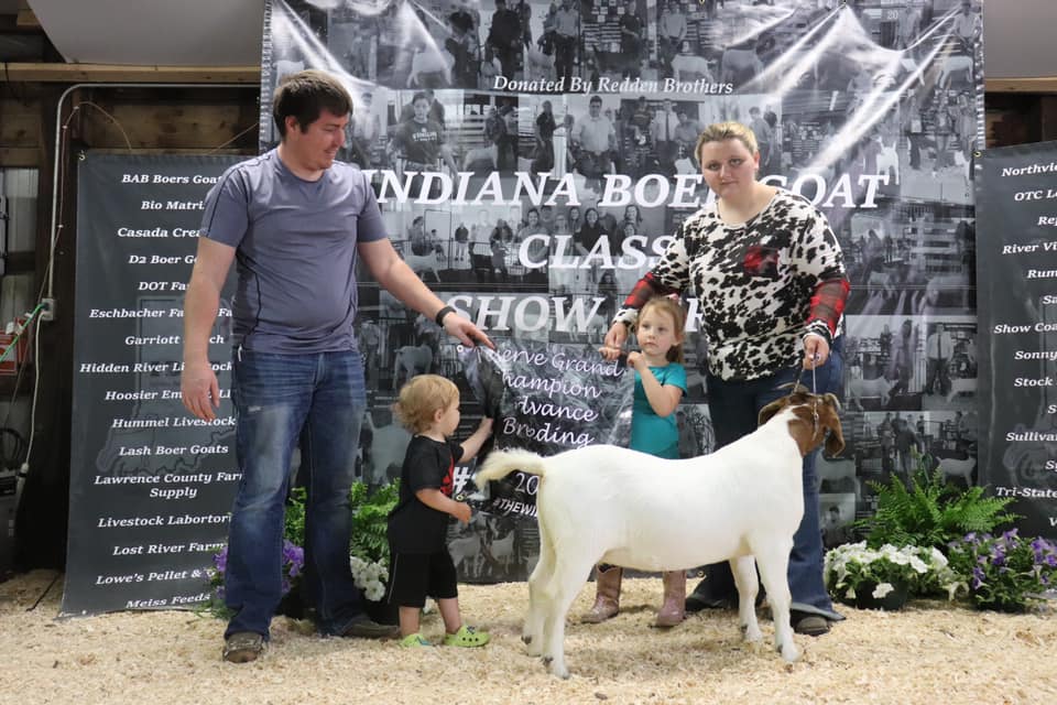 Indiana Boer Goat... - Indiana Boer Goat Association