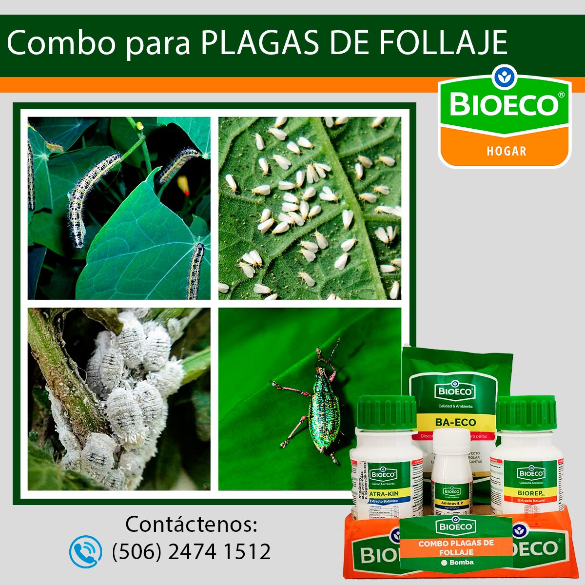 Bioeco CR - ¡Combo BIOECO para plagas de follaje! Cuidemos...