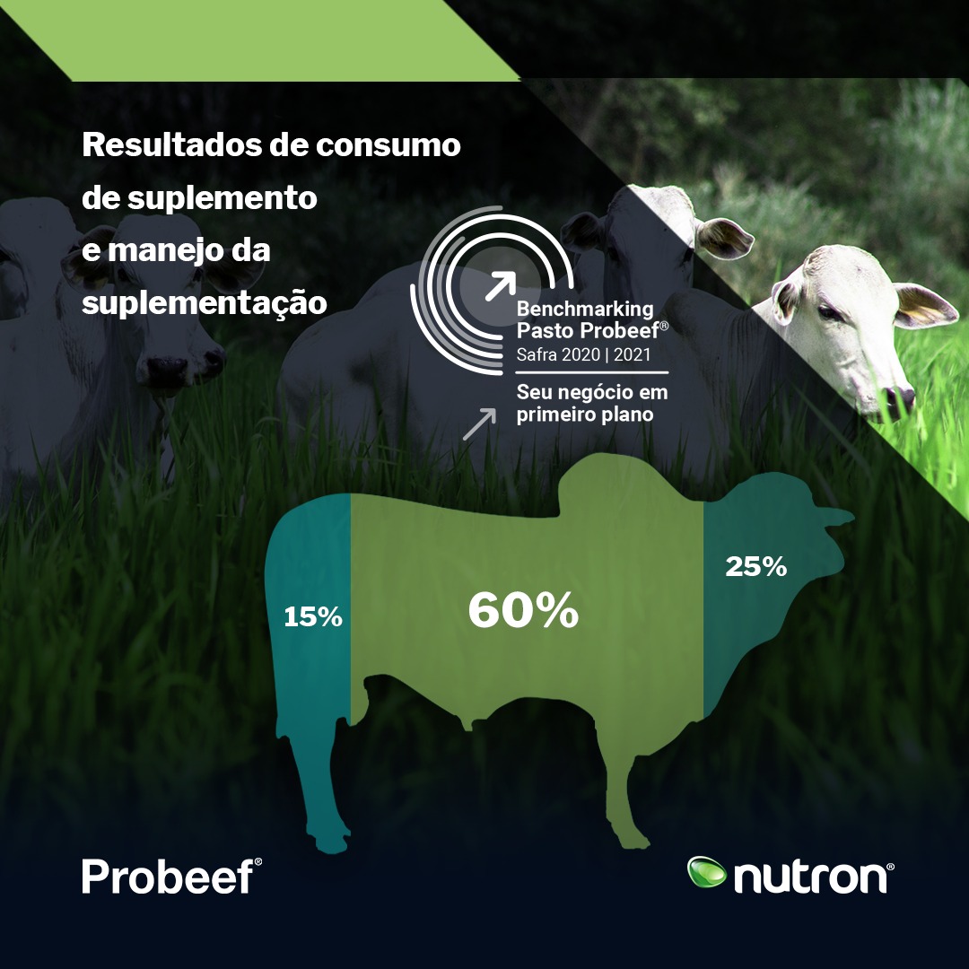 Probeef - Quando o assunto é suplementação e manejo de...