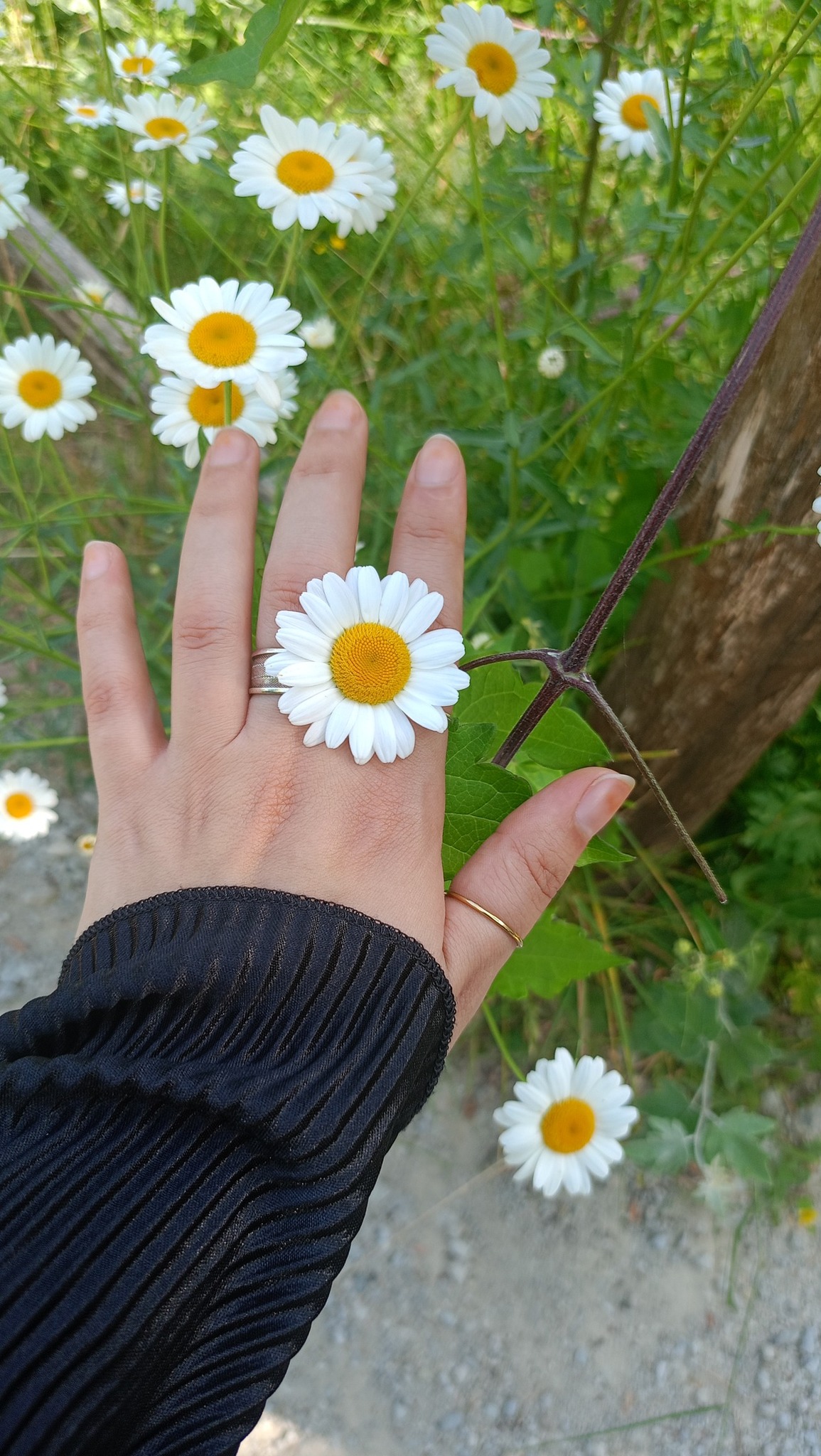 Hafsa El Badaoui