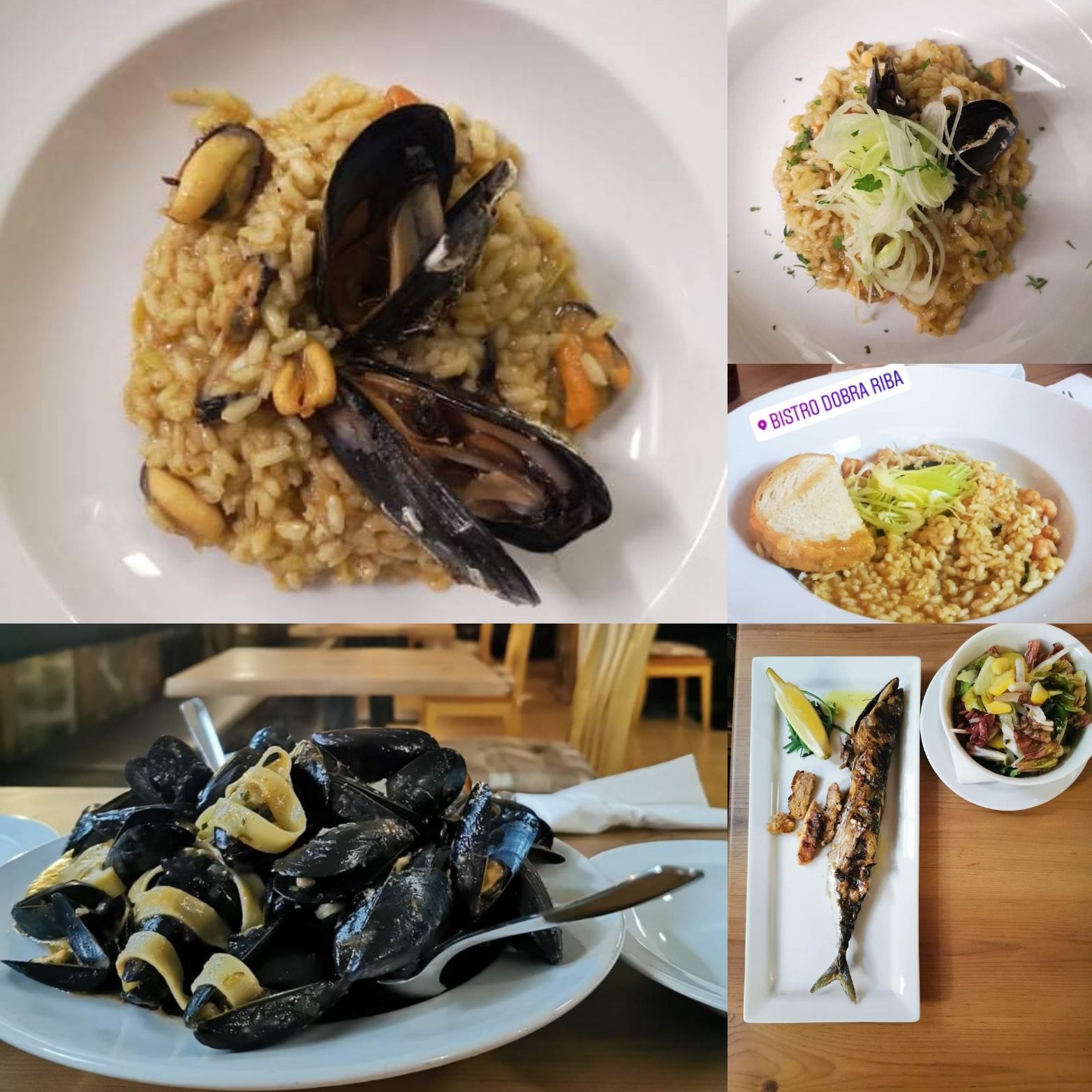 Bistro Dobra riba | Maribor