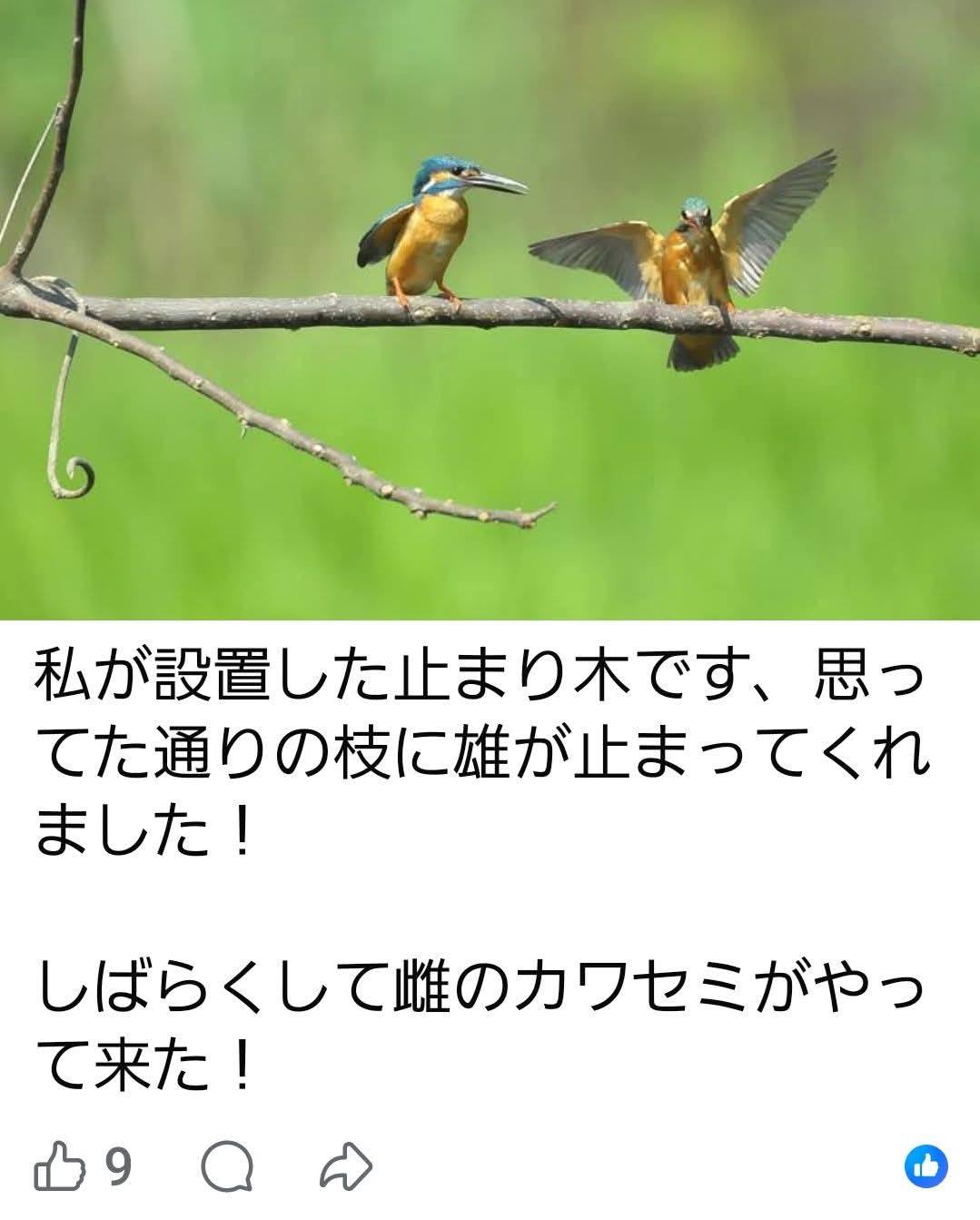 FBに複数の画像を投稿して、画像に補足のキャプション(テロップ)を入れ