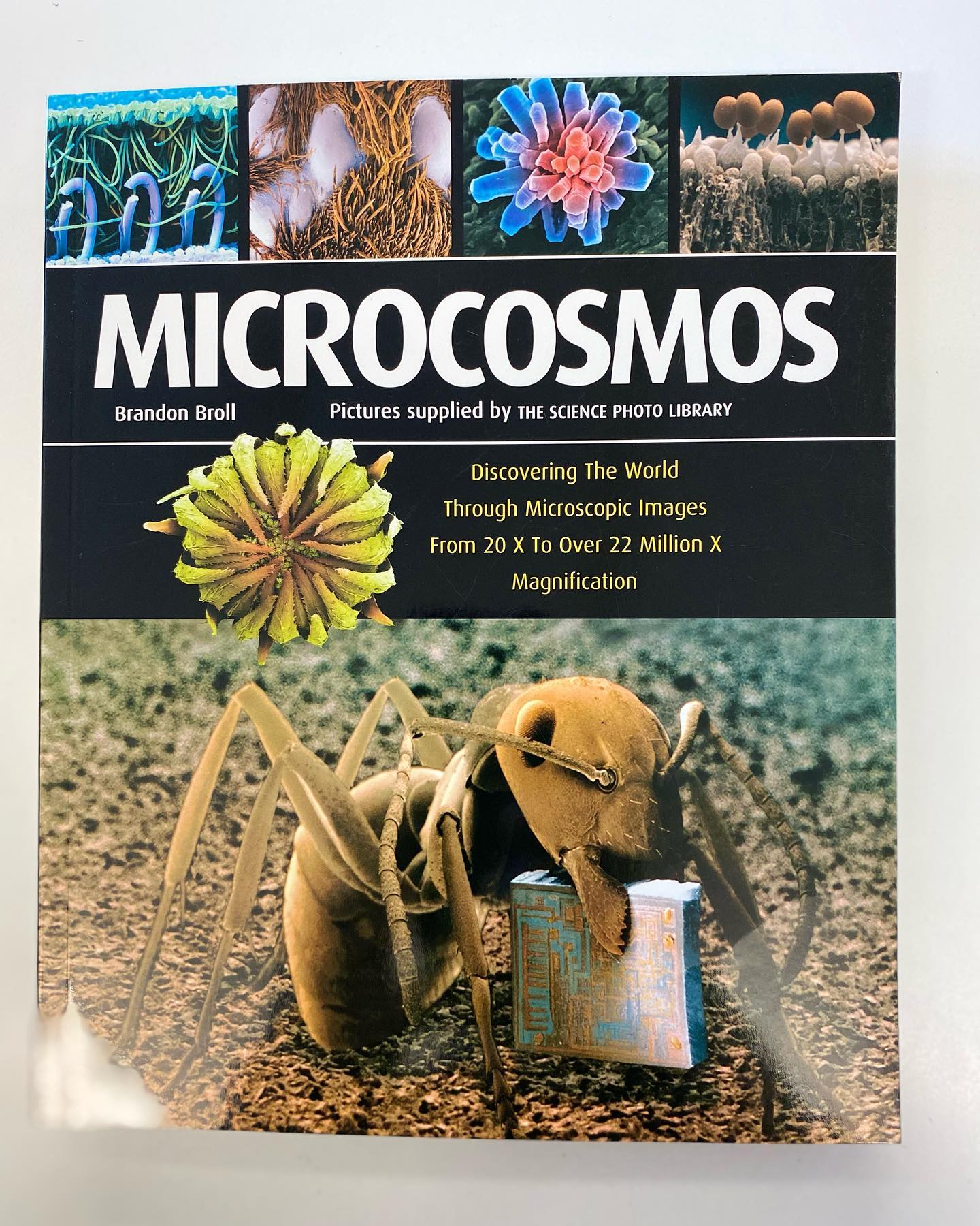 The Hidden Beauty of the Microscopic World
