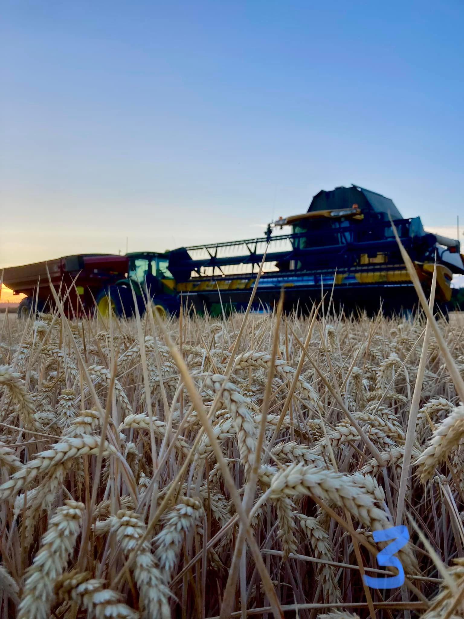 Victor Point Farms | Aumsville OR