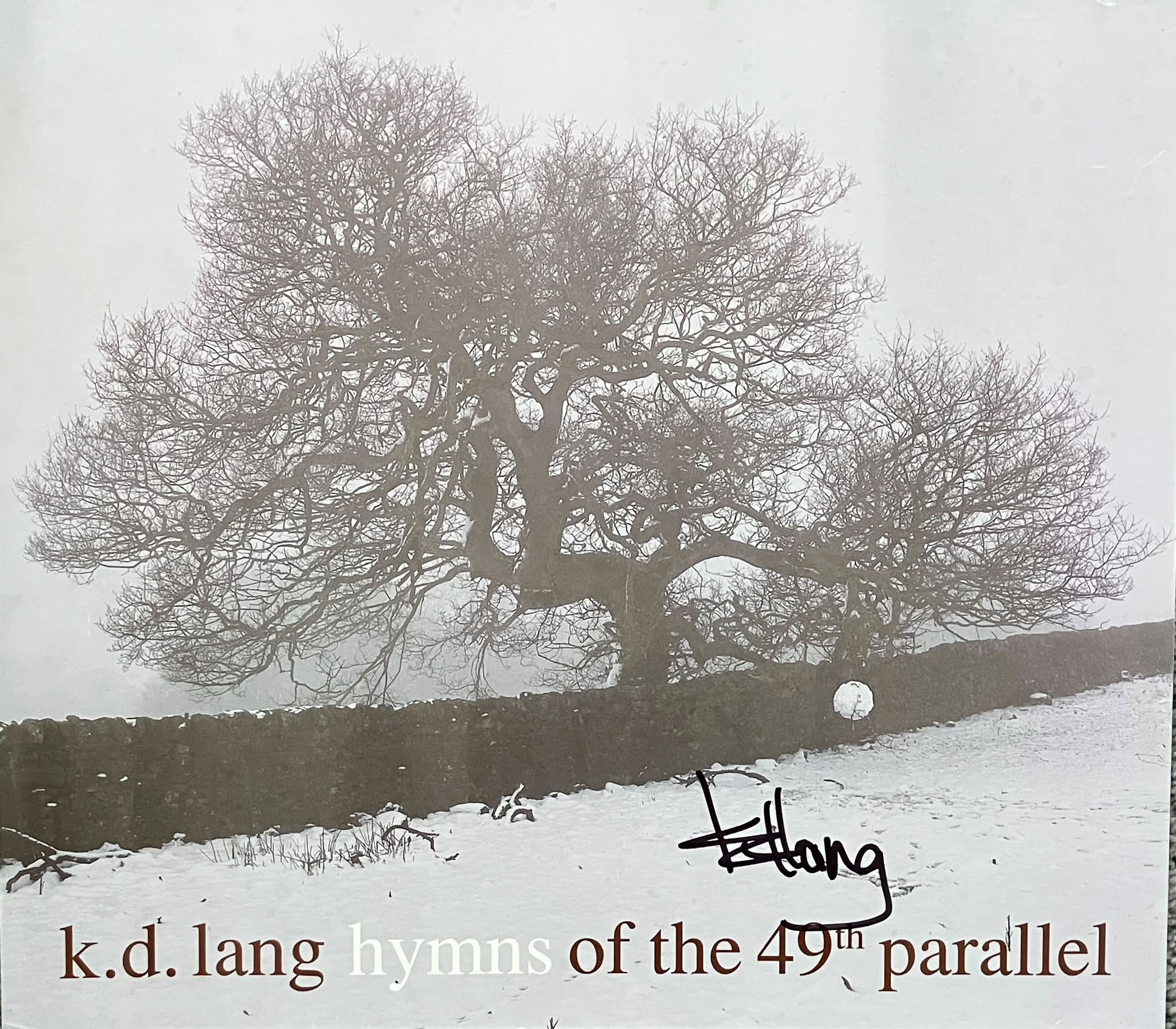 k.d. lang's album hymns of the 49th parallel review and recommendation