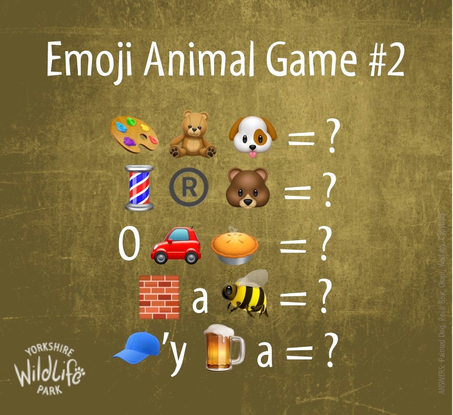 Can you guess the Yorkshire... - Yorkshire Wildlife Park | Facebook